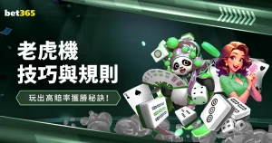 岩井千怜跃,贝克首胜助,阵升至,世界杯竞猜,2026世界杯,竞猜策略,赔率分析,赛事预测